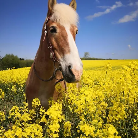 Direkt Am Binnensee * Хайлигенхафен